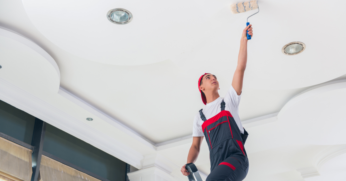 Painting & Decorating for Beginners Isle of Wight College