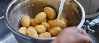 Food sfaety header