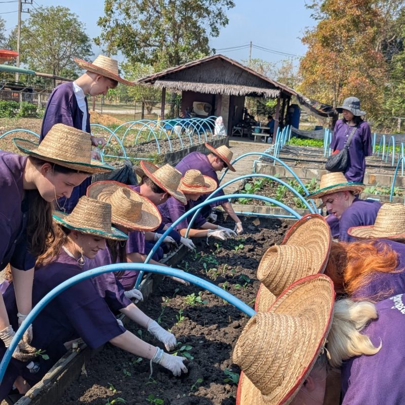 Bae6292d 0ab3 49aa bac5 094c928e9bdf