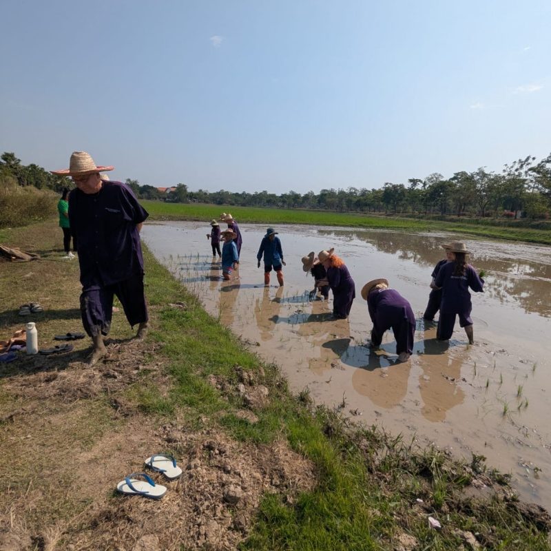 82a3a8c9 ca1f 411f 963e 6fd0d1c67900