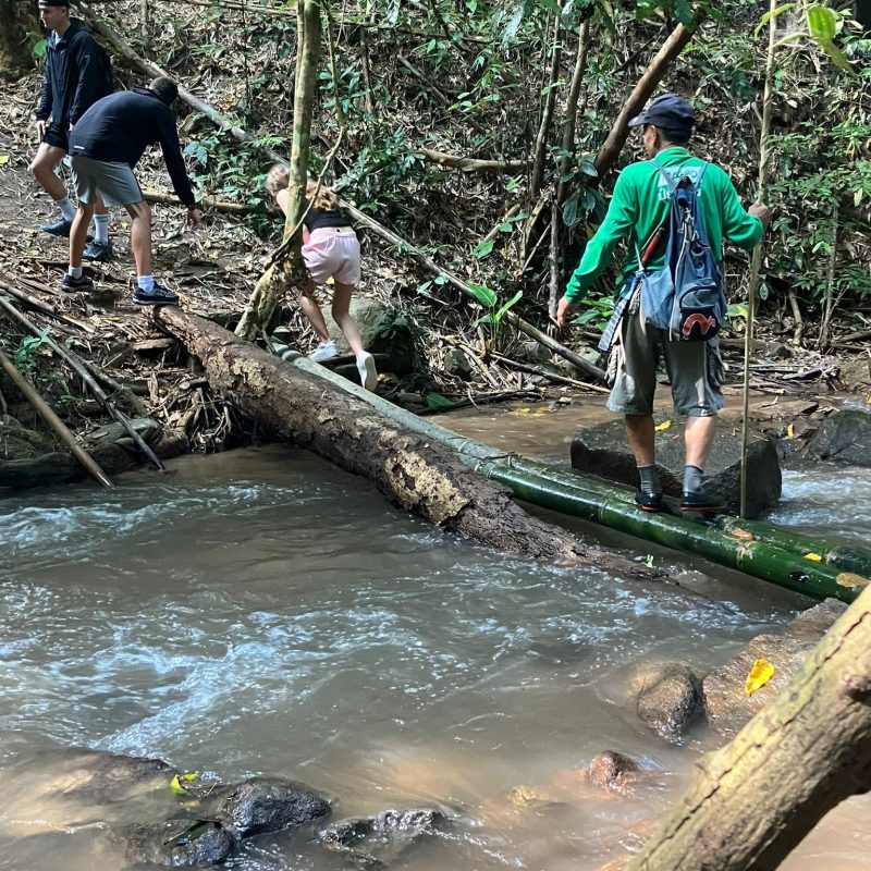 4994b1c6 3f40 40ee 92fb 6caa9aa0c2f5