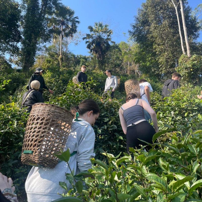 1111525b 0314 4048 9e44 efe6c7ffab3e