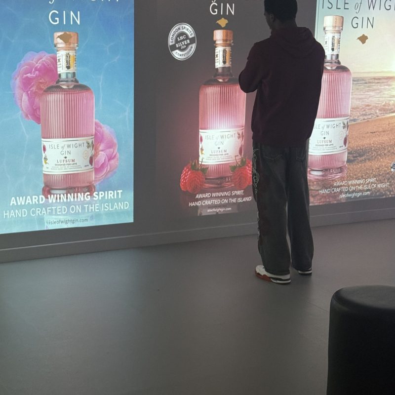a Student admires the Gin artwork that is projected onto a wall.
