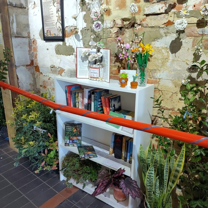 a wall display of flowers grown and displayed on a bookcase.