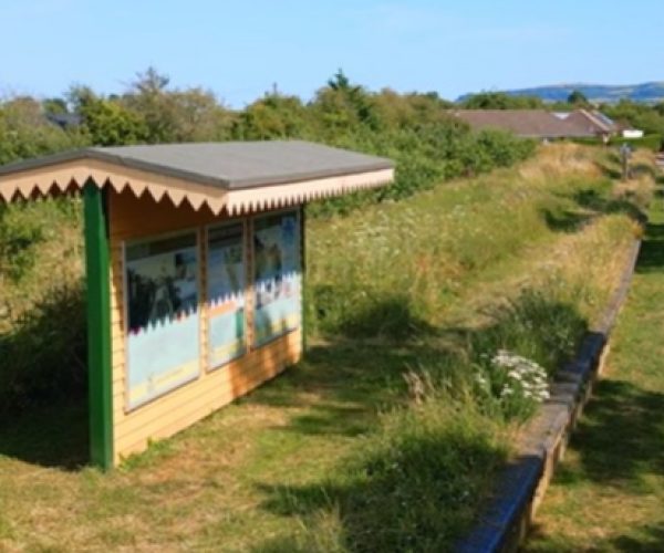 Screenshot 2026 02 17 110933