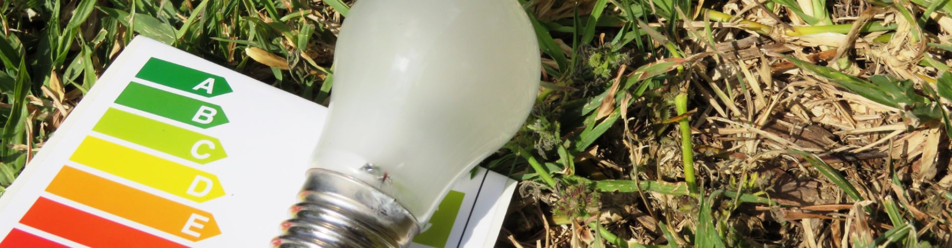 Environmental awareness header