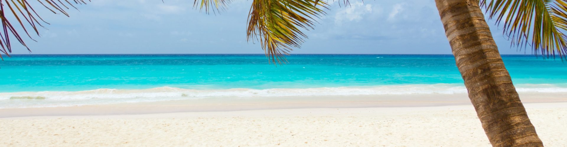 IOT header 1