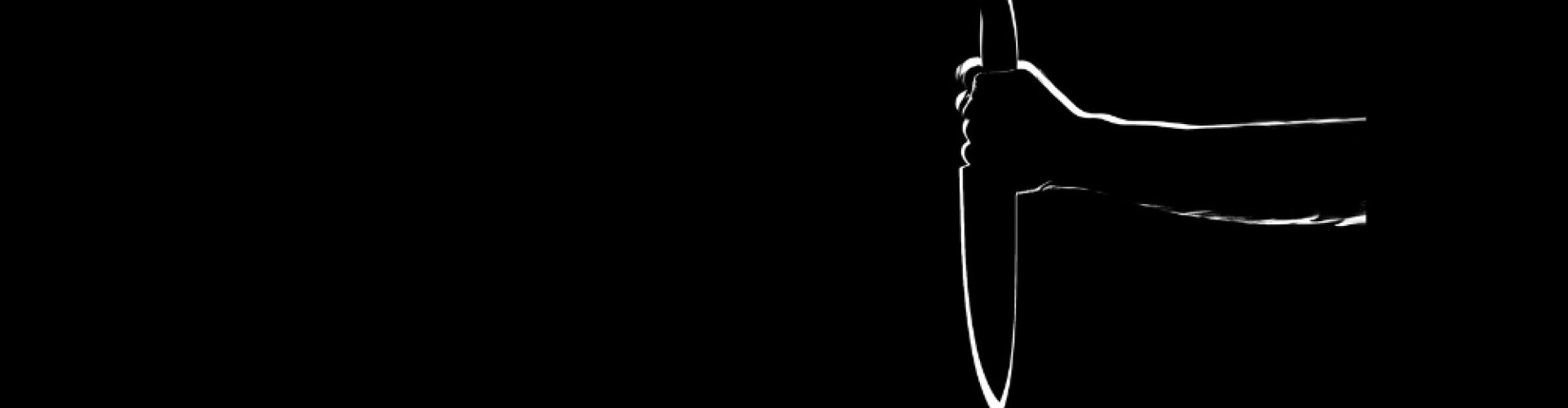 Header image 3